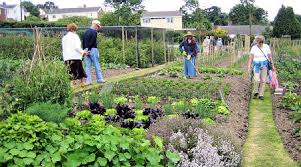 Allotments