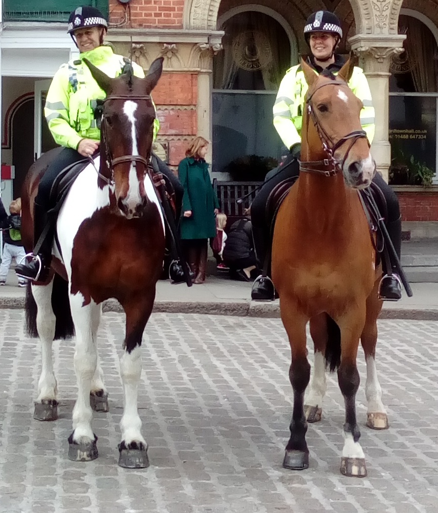 Hungerford Arcade TV Police Horses Blog May 2017
